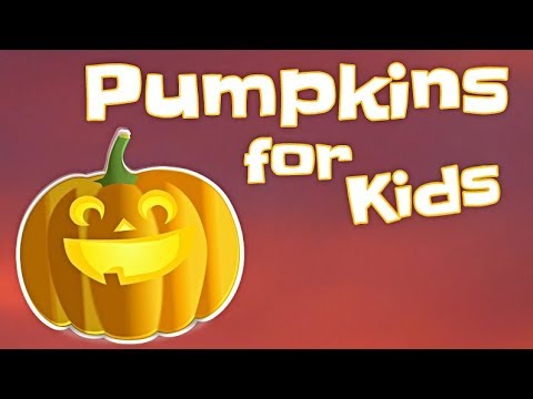 Pumpkins for Kids