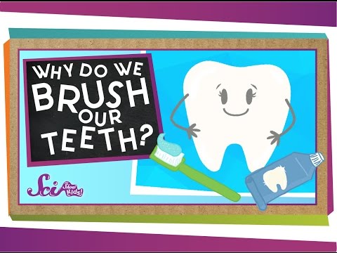 Why do We Brush Our Teeth?