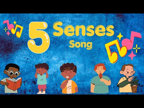 The Five Senses Song | Silly School Songs