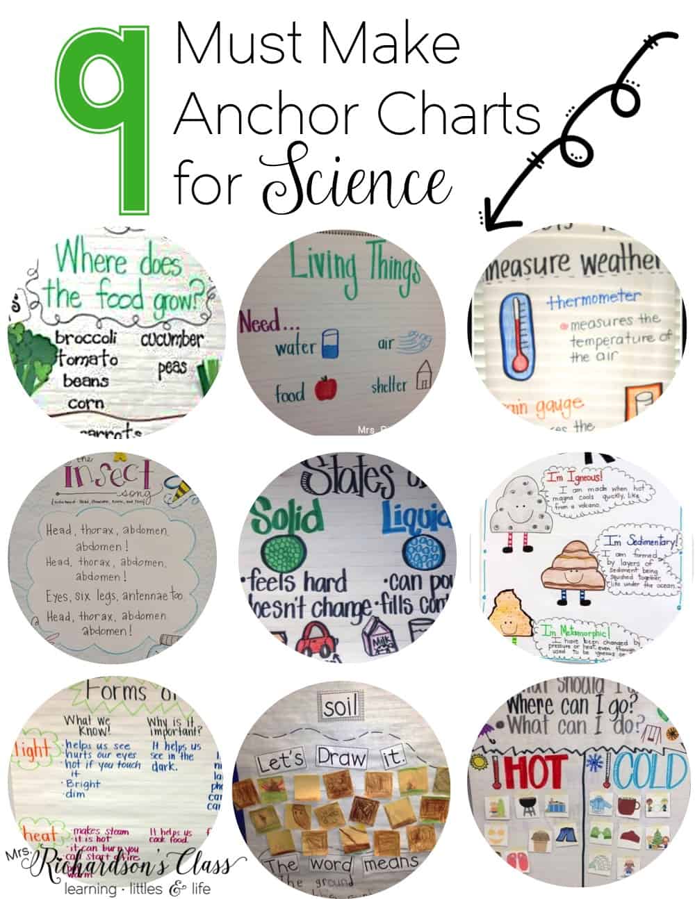 9 Must Make Anchor Charts for Science Mrs. Richardson's Class
