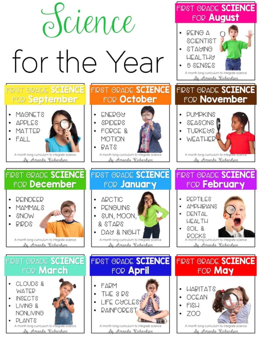 what-do-8th-graders-learn-in-science-a-comprehensive-overview-the