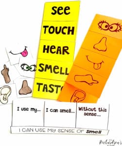 7 Effective Ways to Teach My Five Senses - Mrs. Richardson's Class