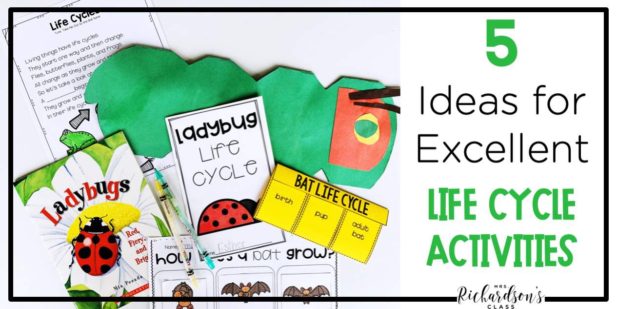 5-ideas-for-excellent-life-cycle-activities-mrs-richardson-s-class