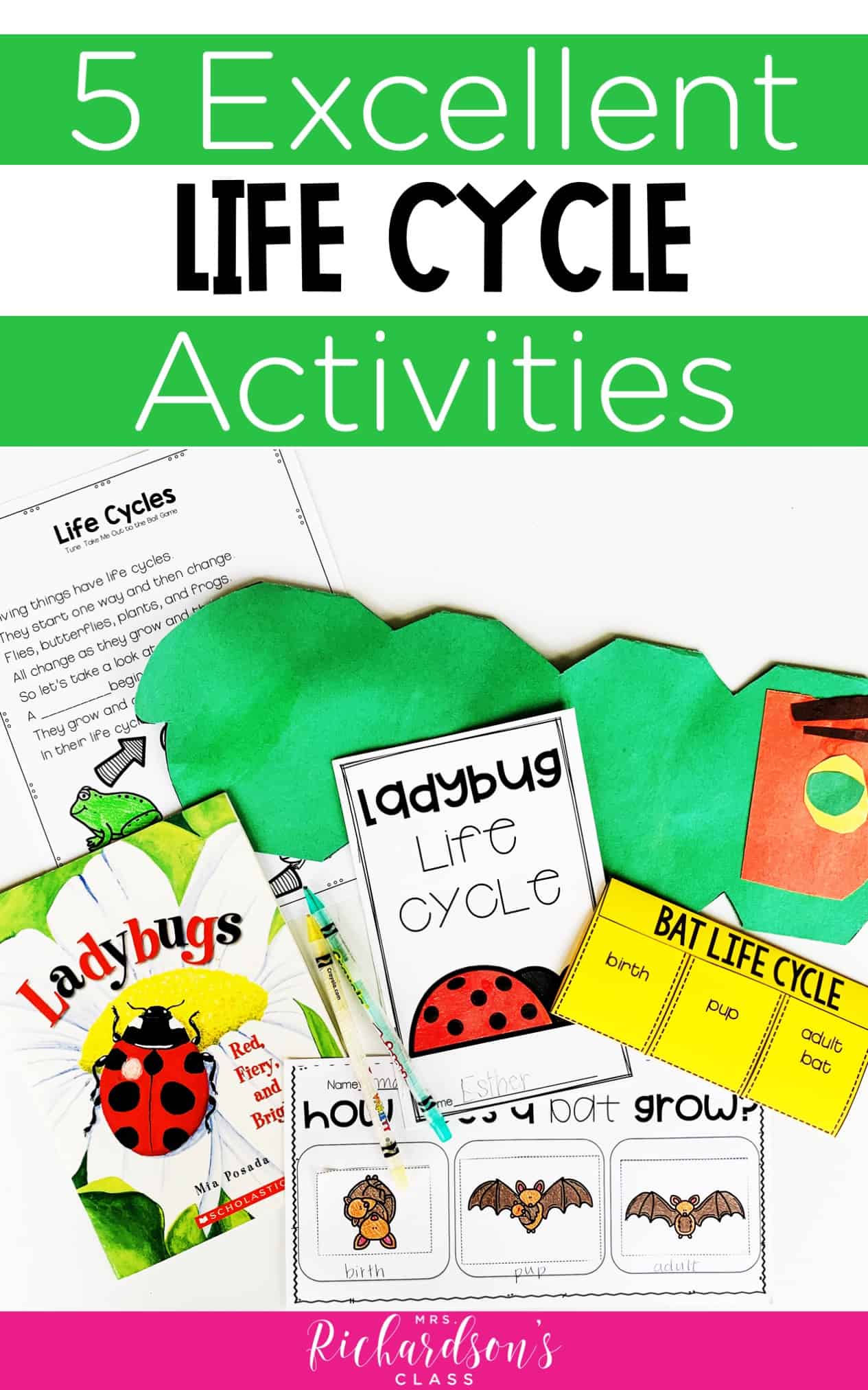 5-ideas-for-excellent-life-cycle-activities-mrs-richardson-s-class