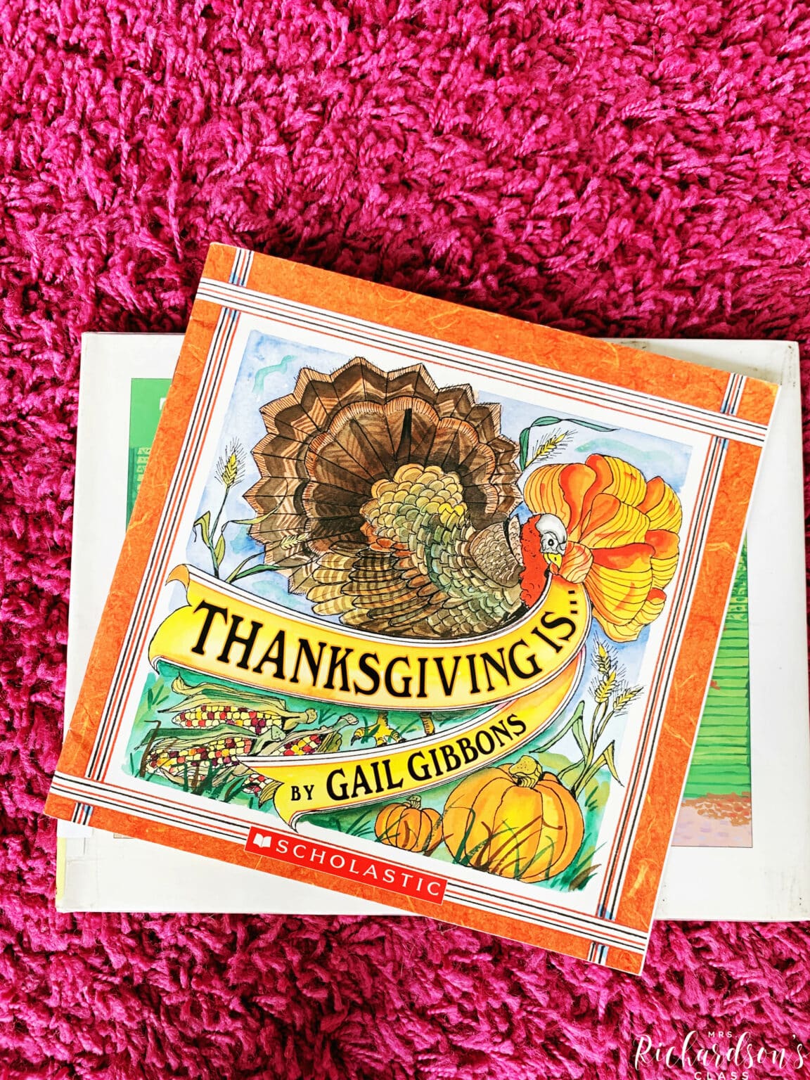 Thanksgiving Read Aloud
 12 Thanksgiving Read Alouds You Will Love