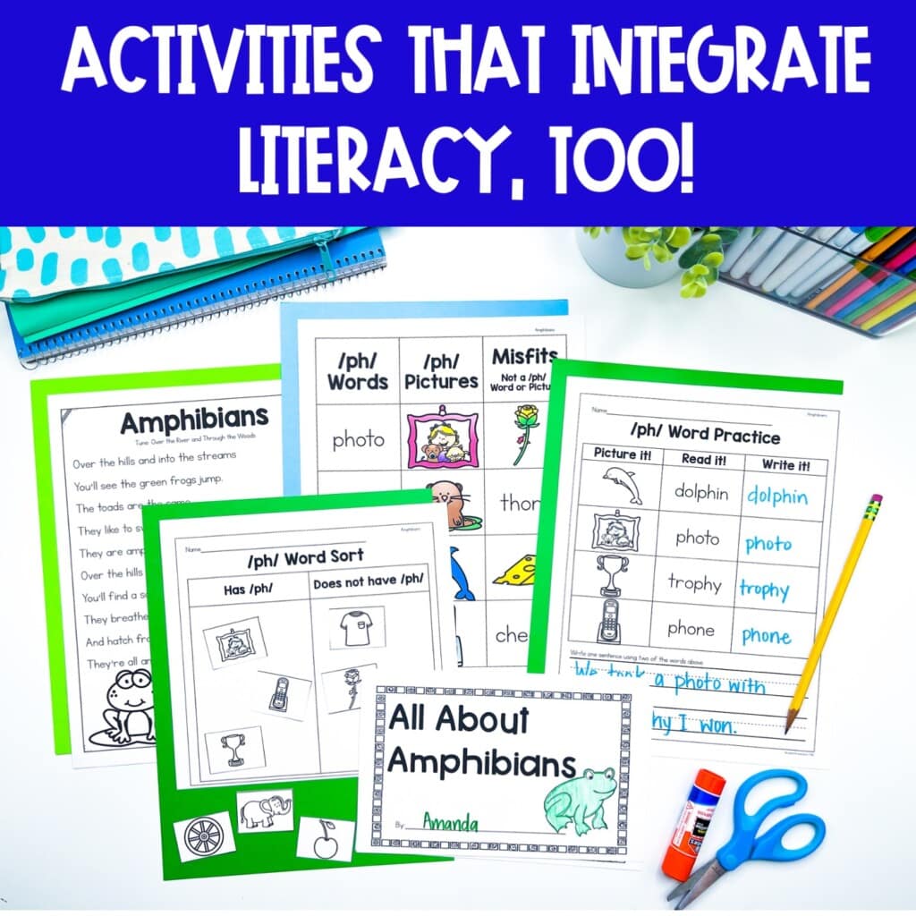 Amphibians Unit: Fact Pages, Life Cycle, Interactive Notebook Pages ...