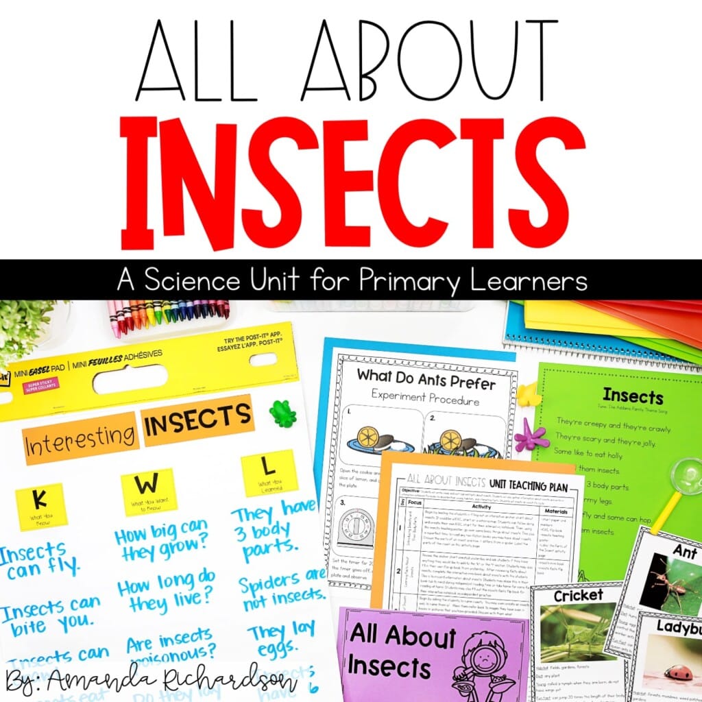 Insects And Bugs Unit: Insect Activities, Insect Life Cycles ...